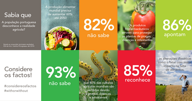 Anipla lançou pelo segundo ano consecutivo a iniciativa “Considere os Factos”